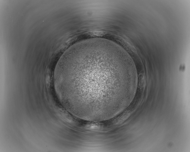 X0000091690655200709061126