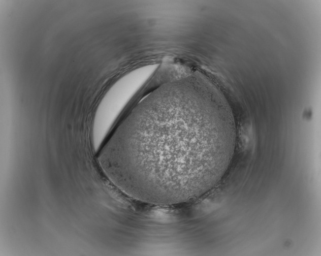 X0000091690657200709061126