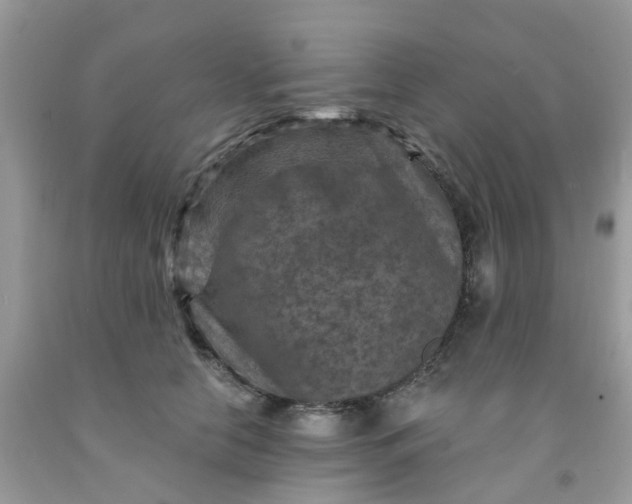 X0000091690658200709061126