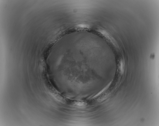 X0000091690659200709061126