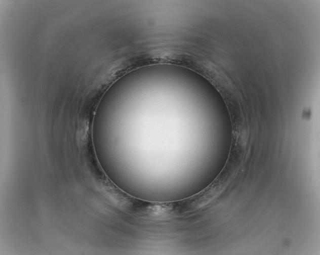 X0000091690660200709061126