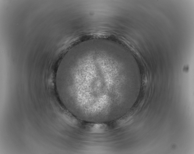 X0000091690663200709061126