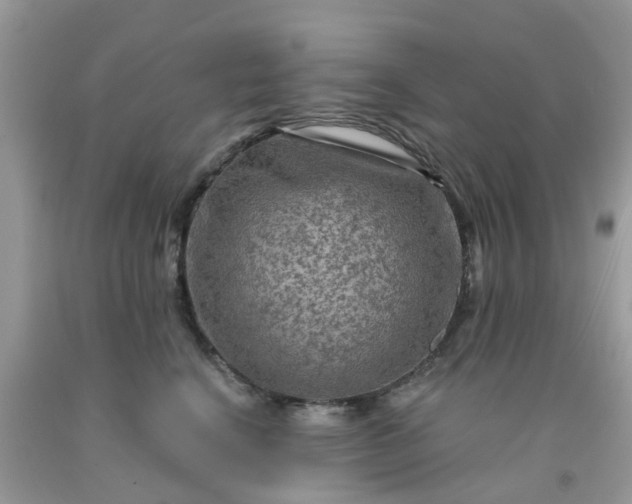 X0000091690664200709061126