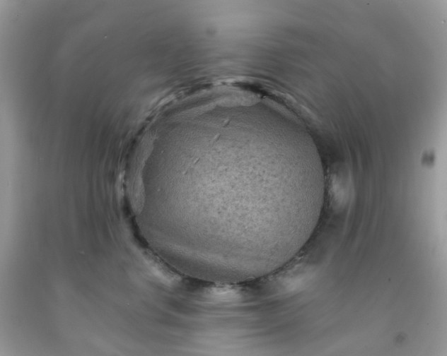 X0000091690668200709061126