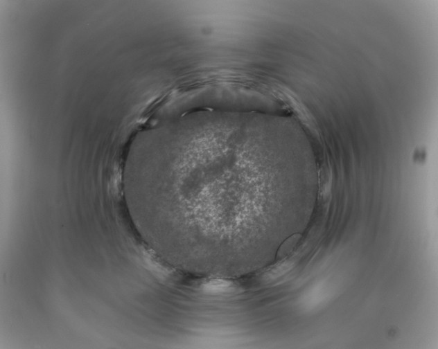 X0000091690669200709061126