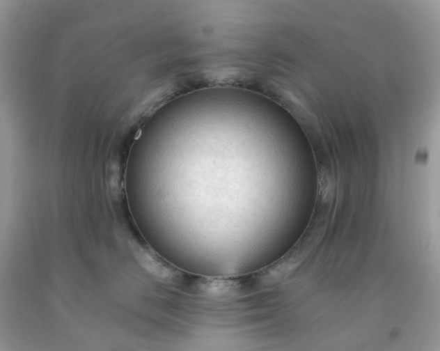 X0000091690670200709061126