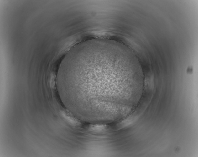 X0000091690671200709061126