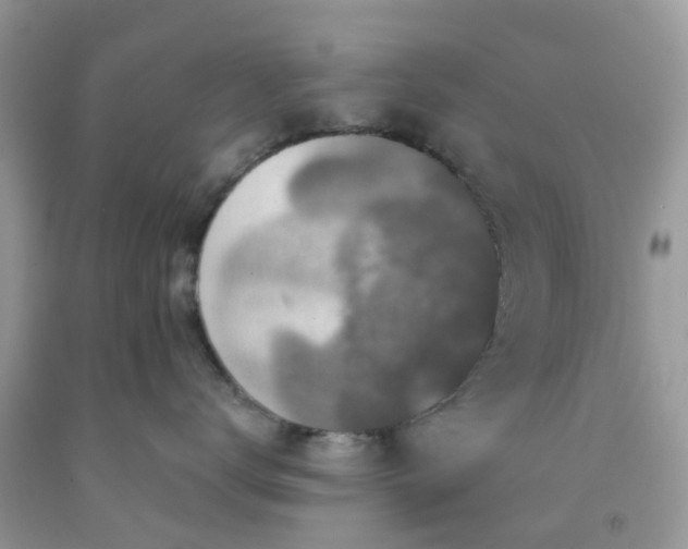 X0000091690672200709061126