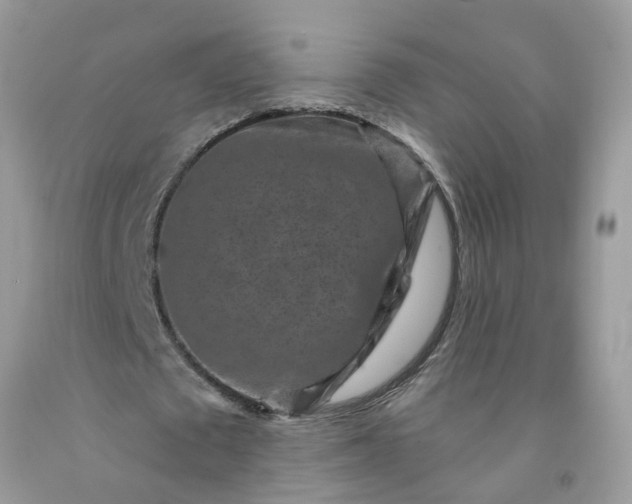 X0000091690673200709061126