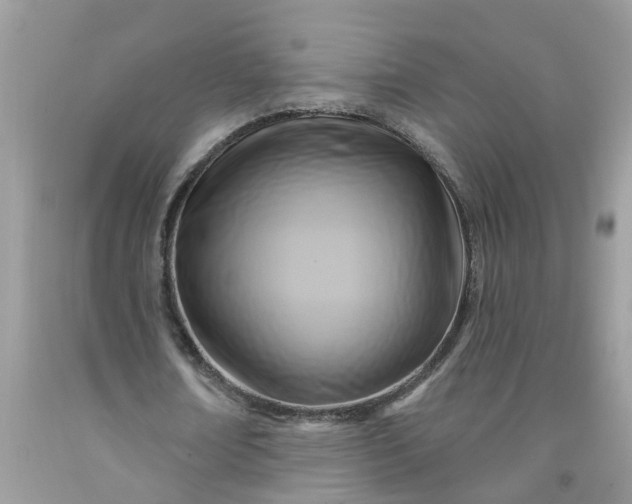 X0000091690674200709061126