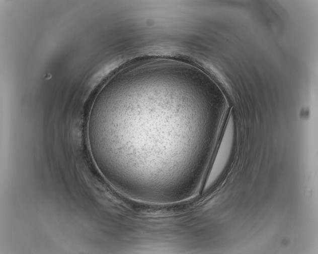 X0000091690675200709061125