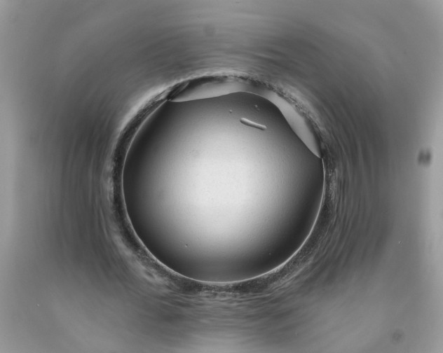 X0000091690676200709061125