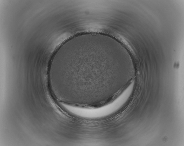 X0000091690677200709061125