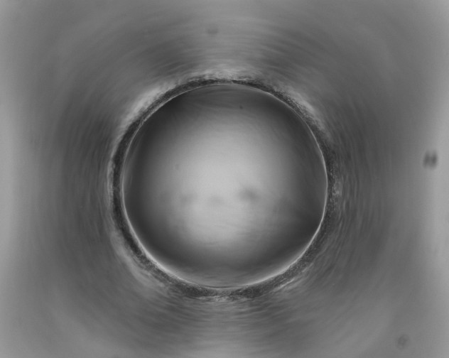 X0000091690678200709061125