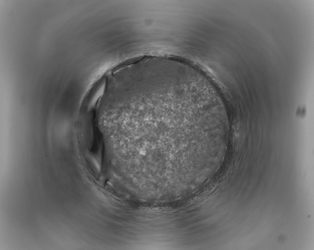 X0000091690679200709061125