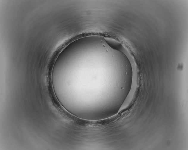 X0000091690680200709061125