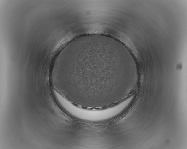 X0000091690681200709061125