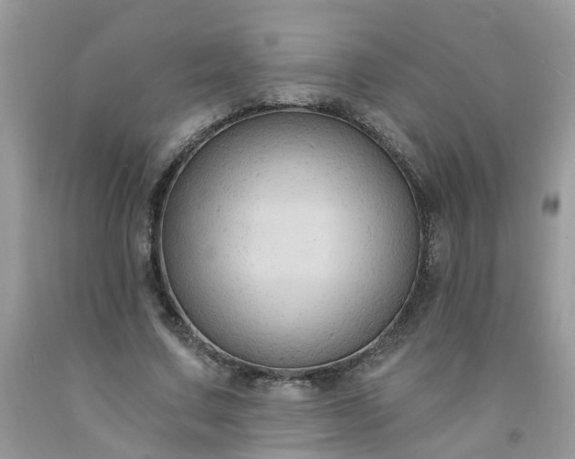 X0000091690683200709061125