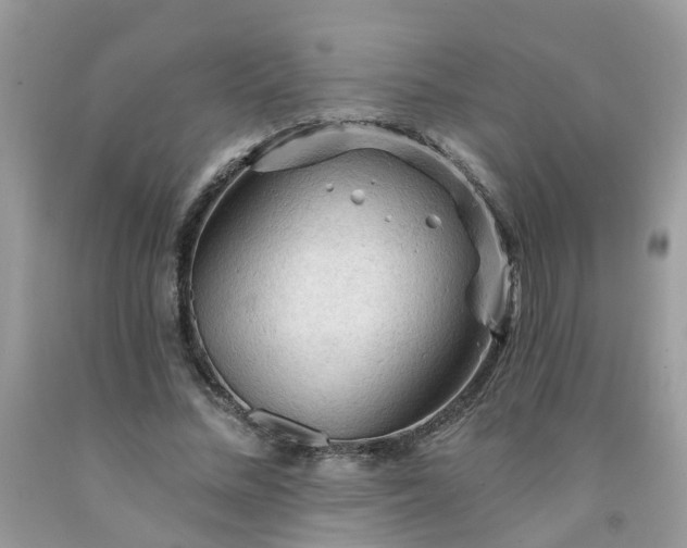 X0000091690684200709061125