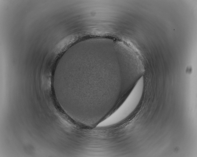 X0000091690685200709061125