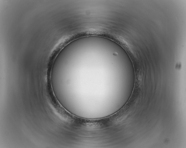 X0000091690686200709061125