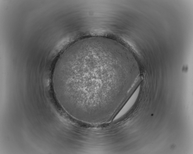 X0000091690687200709061125