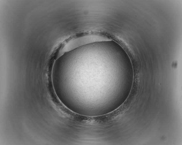 X0000091690688200709061125