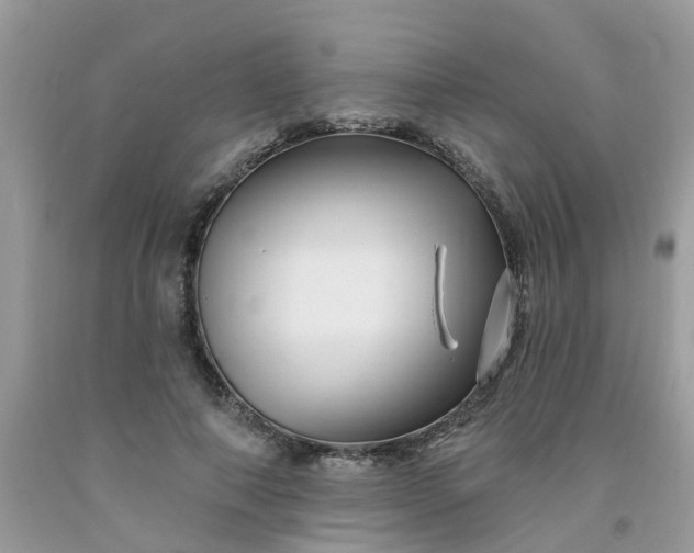 X0000091690690200709061125