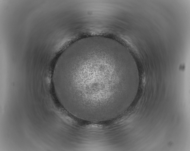 X0000091690691200709061125