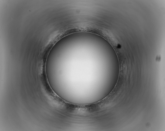 X0000091690694200709061125