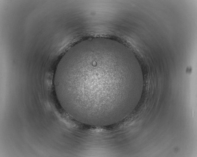 X0000091690695200709061125