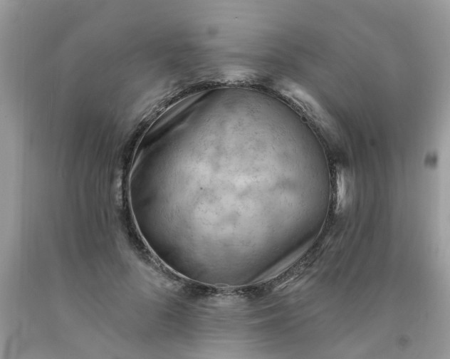 X0000091690696200709061125