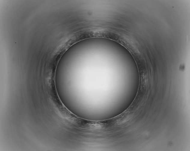 X0000091690698200709061125