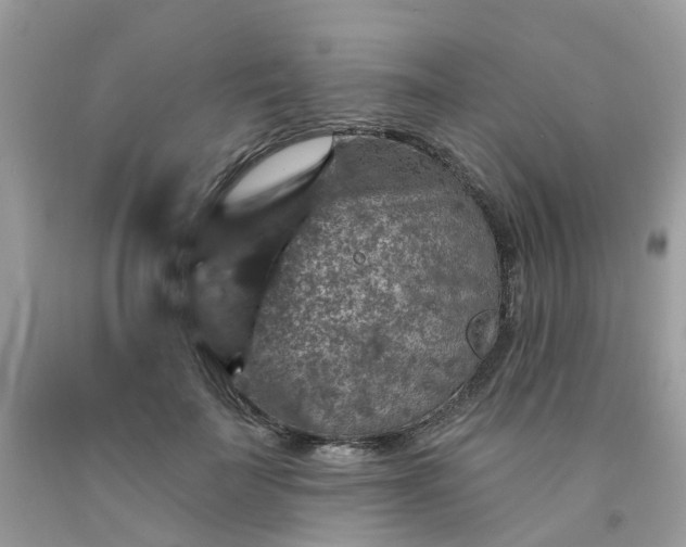 X0000091690699200709061125