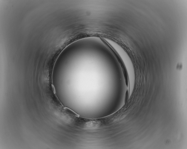 X0000091690700200709061125