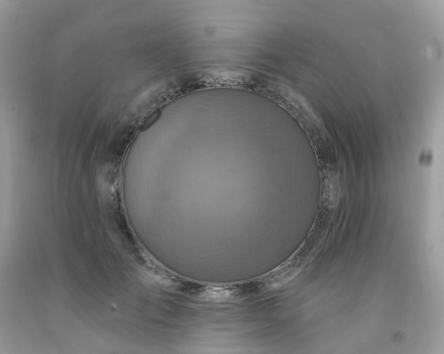 X0000091690701200709061125