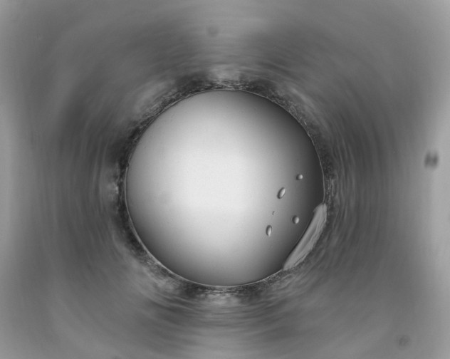 X0000091690702200709061125