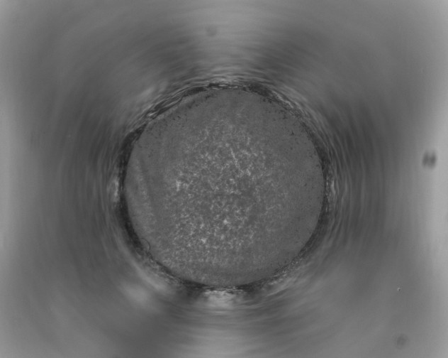 X0000091690703200709061125