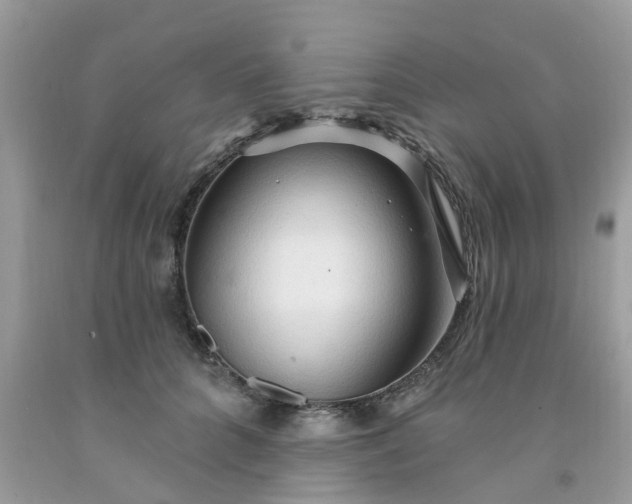 X0000091690704200709061125