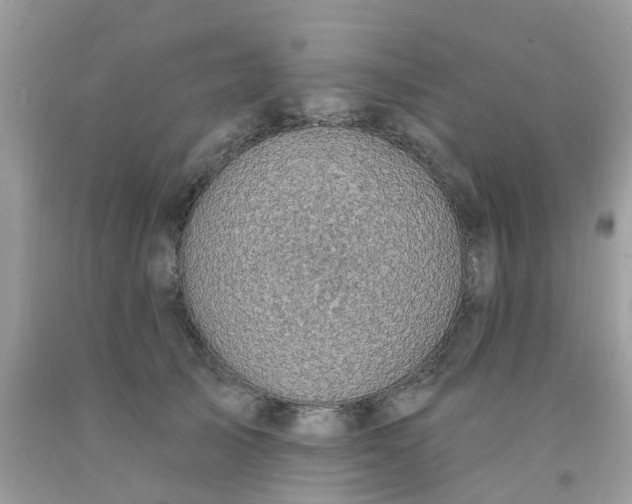 X0000091690705200709061125