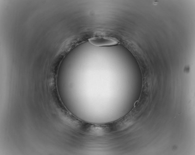 X0000091690706200709061125