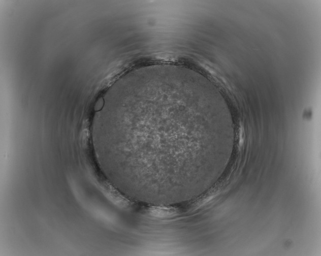 X0000091690707200709061125