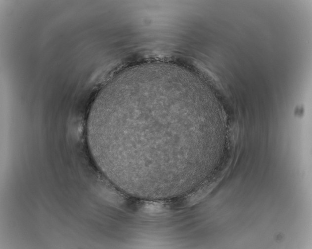 X0000091690709200709061125