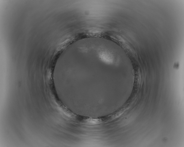 X0000091690711200709061125