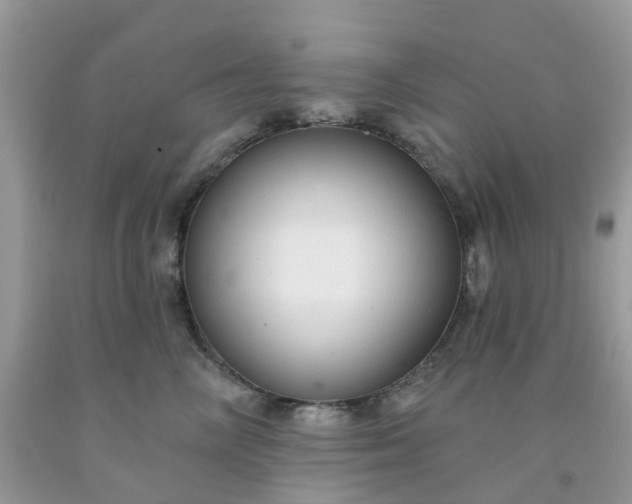 X0000091690714200709061125