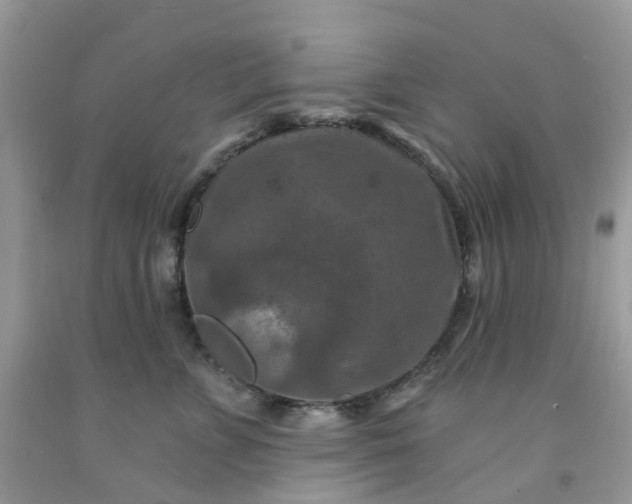 X0000091690715200709061125