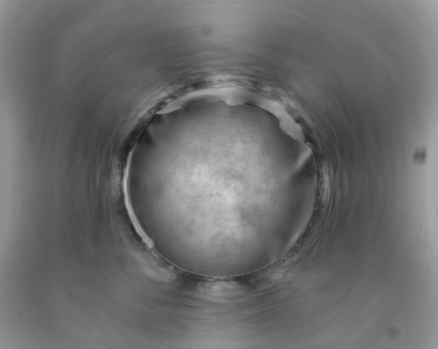 X0000091690716200709061125