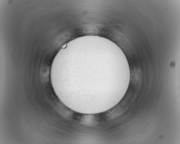 X0000091690717200709061125