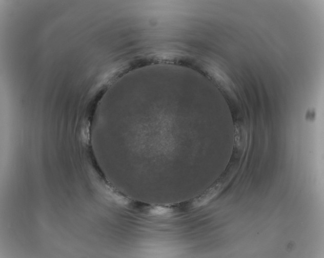 X0000091690718200709061125