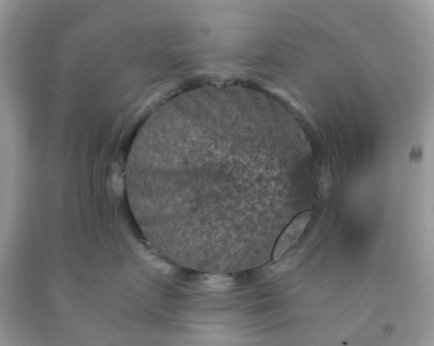 X0000091690719200709061125